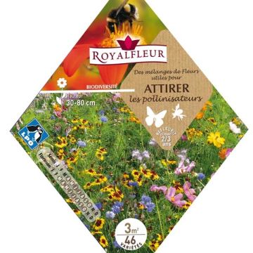 Pollinator Attracting Mix - Packet for 3m2