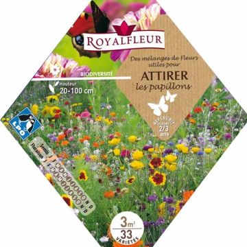 Butterfly Attracting Mix - Packet for 3m²