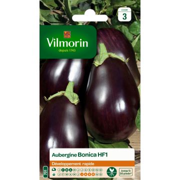 Aubergine Bonica F1 - Vilmorin Seeds