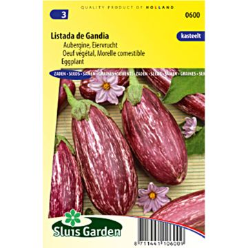 Aubergine Listada de Gandia - Eggplant