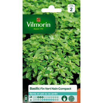 Basil Fino Verde - Bush basil Vilmorin seeds