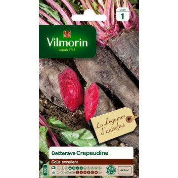 Crapaudine Beetroot - Vilmorin Seeds
