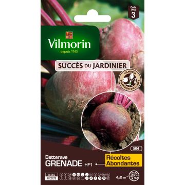 Beetroot Grenade F1 - Vilmorin Seeds