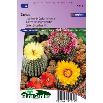 Mixed Cacti Seeds