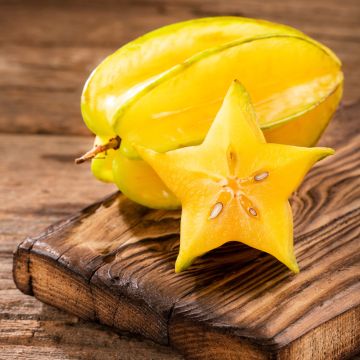 Averrhoa carambola Arkin - Star fruit tree