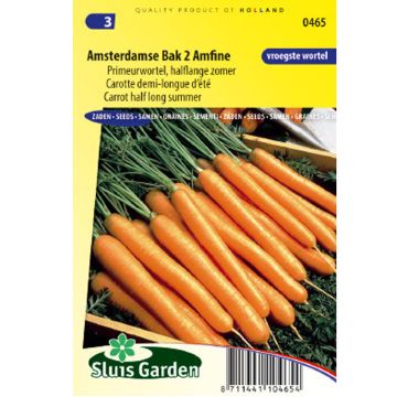 Carrot Amsterdam 2