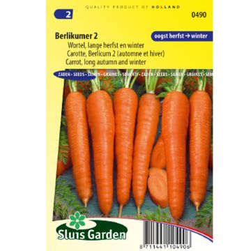 Carrot Berlicum 2