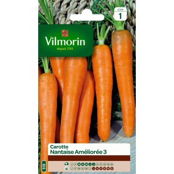 Carrot Nantes Improved 3 - Vilmorin Seeds