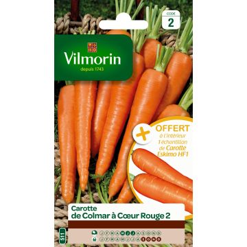 Carrot Autumn King 2 + Eskimo F1 Sample - Vilmorin Seeds