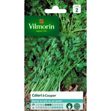 Leaf Celery - Vilmorin Seeds