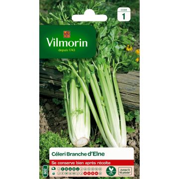 Celery Elne - Vilmorin Seeds