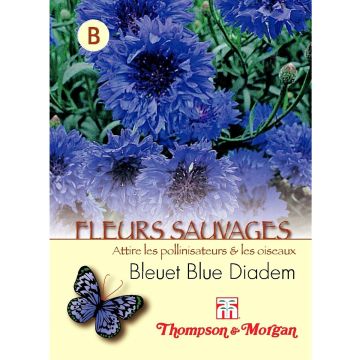 Seed of Blue Diadem Cornflower - Centaurea cyanus Blue Diadem