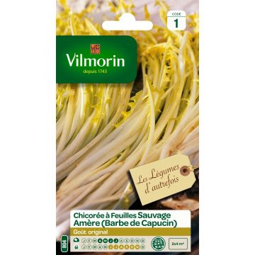 Chicory Barbe de Capucin - Vilmorin Seeds