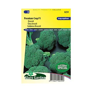 Broccoli Premium Crop F1 - Brassica oleracea italica