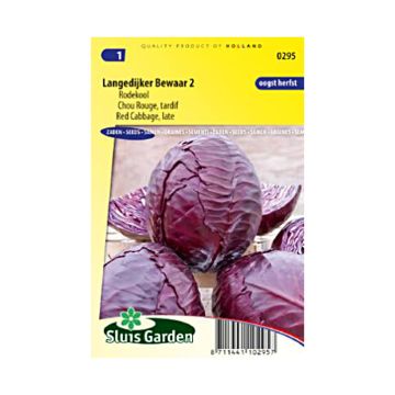Red Cabbage Langedijker Bewaar 2