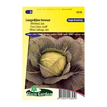 Cabbage Langedijker bewaar - Brassica oleracea capitata