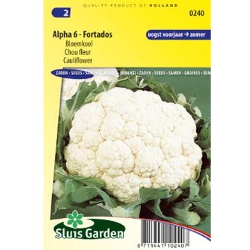 Cauliflower Alpha 6 - Fortados