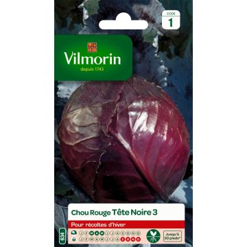 Red Cabbage Tête noire 3 - Vilmorin Seeds