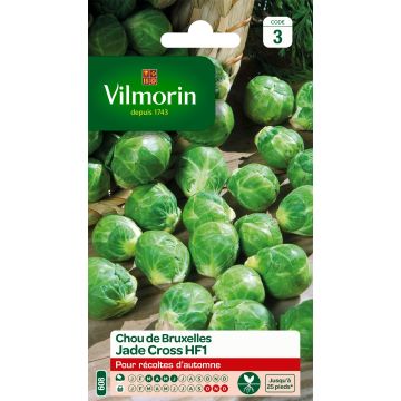Brussels sprouts Jade Cross F1 - Vilmorin Seeds