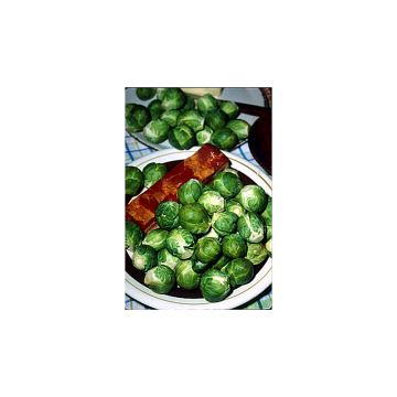 Brussels Sprouts Rosny - Brassica oleracea gemmifera