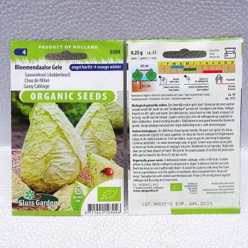 Savoy Cabbage Bloemendaalse Gele Bio