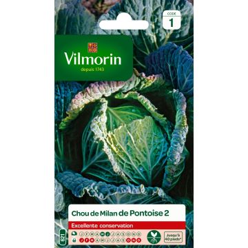 Savoy Cabbage January King - Vilmorin Seeds