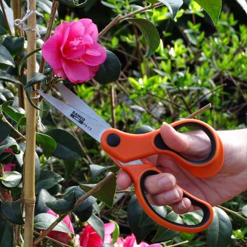 Bahco Flower Scissors with 7.5cm (3in) Blades