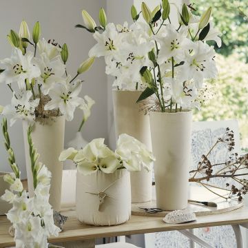 Bulb Collection for modern white bouquets