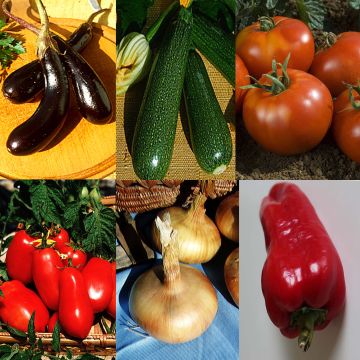 Mediterranean Vegetable Seed Collection