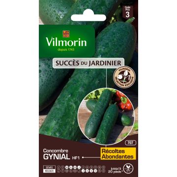 Cucumber Gynial F1 - Vilmorin Seeds