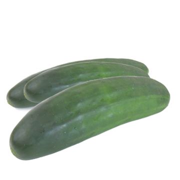 Cucumber Le Généreux