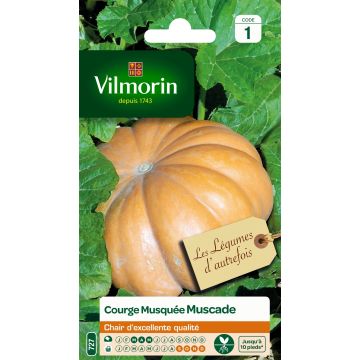 Winter Squash Muscade - Vilmorin Seeds