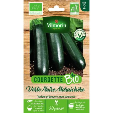 Courgette Verte Noire Maraîchère Organic - Vilmorin Seeds