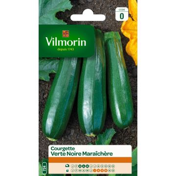 Courgette Verte Noire Maraîchère - Vilmorin Seeds