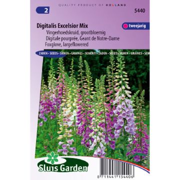 Foxglove Exclesior Mix Seeds - Digitalis purpurea