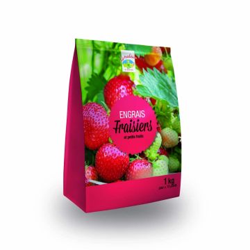 Fertilizer for Strawberries NPK 4-8-12 + 2MgO in a 1Kg Mini-pack