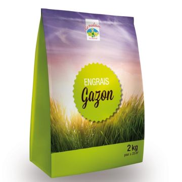 Lawn Fertiliser NPK 8-8-12 + 3MgO in a 2 Kg mini-pack
