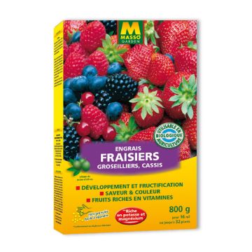 Fresh Strawberry, Redcurrant, and Blackcurrant Granular Fertilizer from UAB Masso Garden