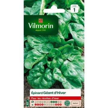 Spinach Giant Winter - Vilmorin Seeds