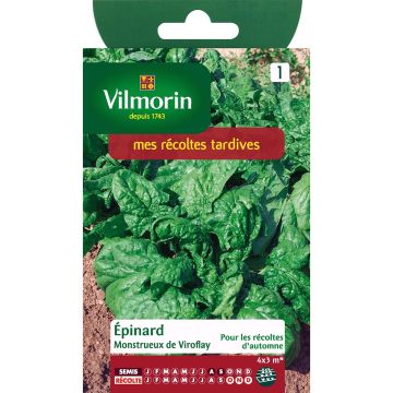 Spinach Viroflay Giant - Vilmorin seeds