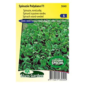 Spinach Polydane F1