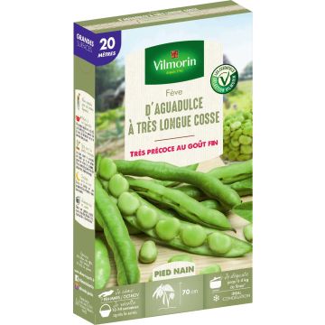 Broad Bean Aguadulce - Vilmorin Seeds