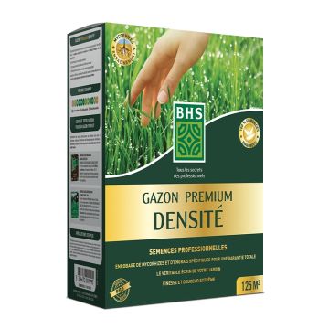 Premium Density Lawn - Coated Seeds - BHS