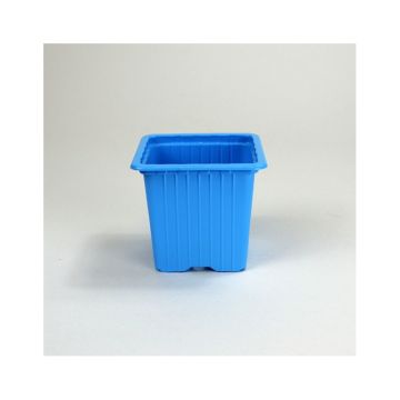 Light Blue Propagation Pot by Soparco - sold in packs of 30