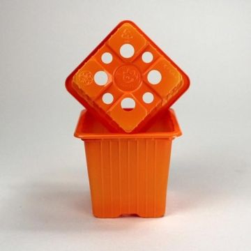 Orange propagation pots - sold in sets of 30