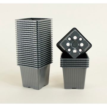 Multiplication black pots 7 x 7 x 6.4 cm (3in) - sold in packs of 30