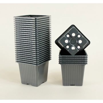 Multiple black pots 8 x 8 x 7 cm (3in) - sold in packs of 30