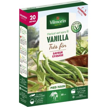 Vanilla Dwarf Green Bean - Vilmorin seeds