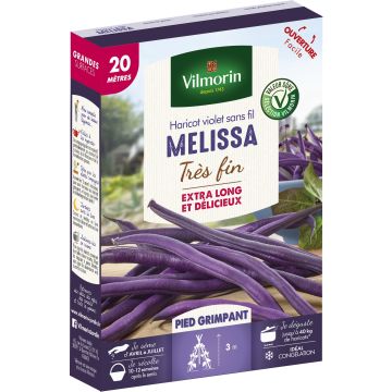 French Pole Bean Melissa - Vilmorin Seeds