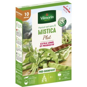 Haricot à rames Mistica - Vilmorin